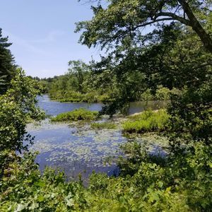 Meet your Posher, Kyra